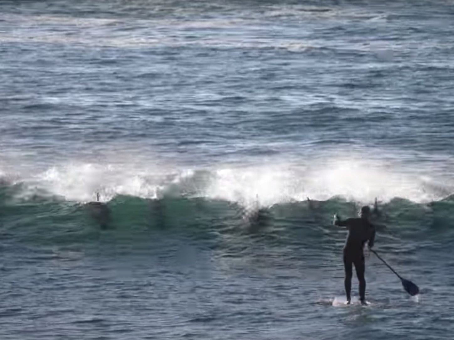 Paddle Boarder Gets SMASHED by Dolphin