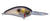 Bomber Fat Free Shad 1oz 12-16'  Purple Pearl AYU