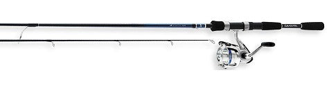 Daiwa Combo D-Shock Spinning Combo 2BB 5'6'" 2pc L