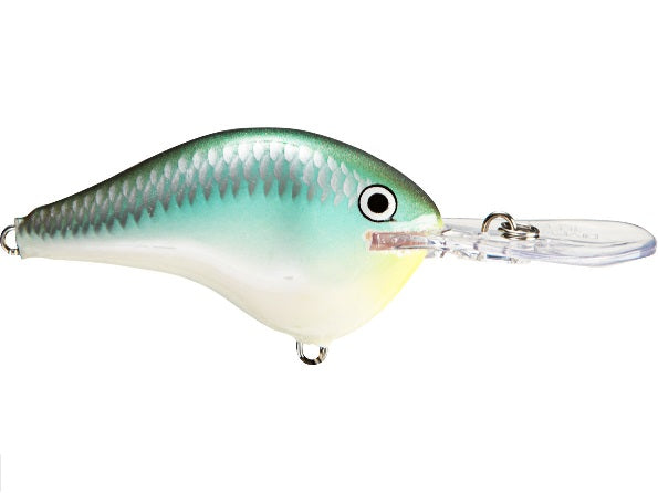 Rapala DT Series 6' 3-8 2" Blue Back Herring