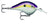 Rapala DT Series 3-8 Big Shad