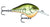 Rapala DT Series 3-8 Chart Rootbeer Crawdad