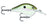 Rapala DT Series 3-8 Green Gizzard Shad