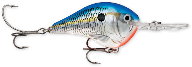 Rapala DT Series 3-4 Blue Shad