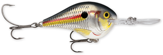 Rapala DT Series 3-4 Shad