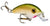 Strike King Bitsy Pond Minnow 3-32oz Tennessee Shad