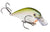 Strike King KVD Square Bill 2.5  /  Phantom Perch