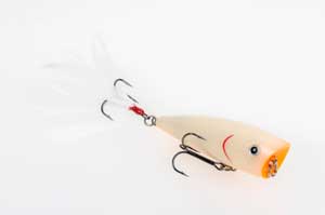 Strike King KVD Splash Jr 3 3/4" Bone