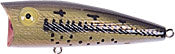 Rebel Magnum Pop-R 1-2 Baby Bass